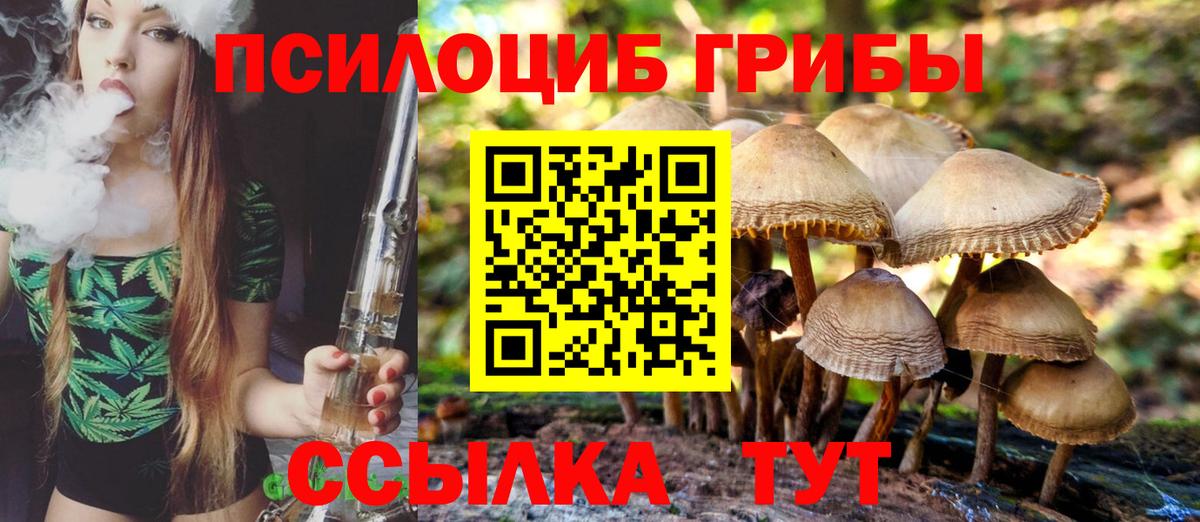Галлюциногенные грибы Cubensis Ефремов