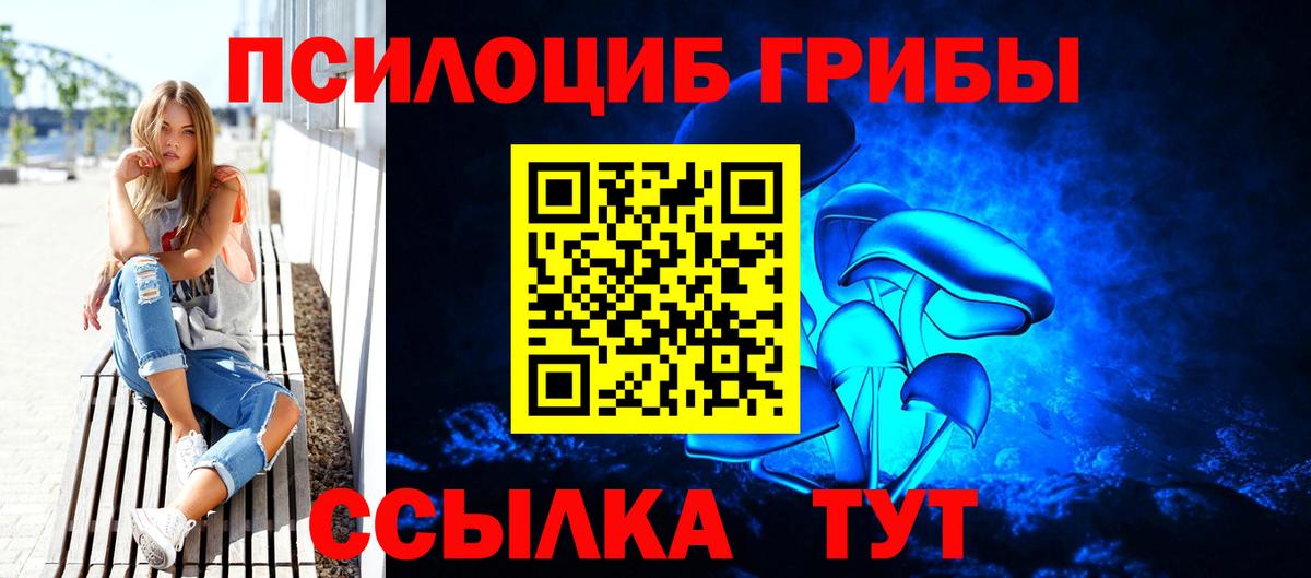 Псилоцибиновые грибы Psilocybine cubensis  Вход с VPN  наркота  Ефремов  Галлюциногенные грибы мухоморы 